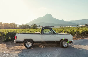 Dodge RAM D150 - 1984