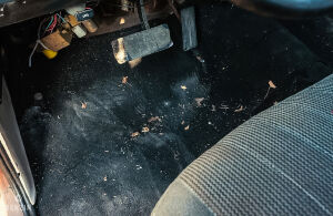 Dodge RAM D150 - 1984