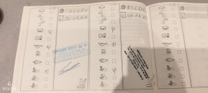 Mini Cooper S R56 - 2010