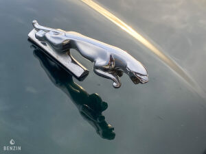 Jaguar XJ8 3.2 - 1999 *Flash