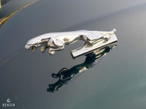 Jaguar XJ8 3.2 - 1999 *Flash