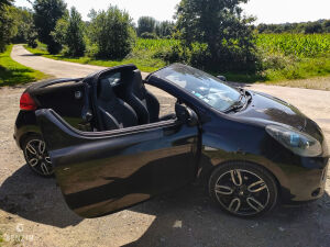 Renault Wind 1.6 133 - 2010