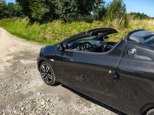 Renault Wind 1.6 133 - 2010