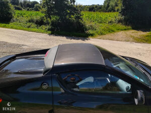 Renault Wind 1.6 133 - 2010