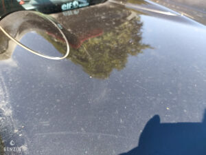 Renault Wind 1.6 133 - 2010