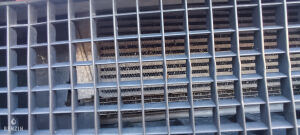 Renault Megane 2 RS - 2006