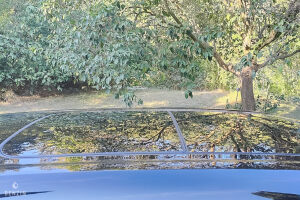 Mini Clubman Cooper S - 2020