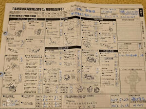 Ferrari F355 GTS - 1995