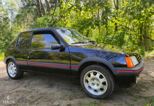 Peugeot 205 GTI 1.9 130 - 1987