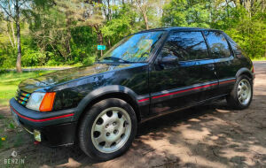 Peugeot 205 GTI 1.9 130 - 1987