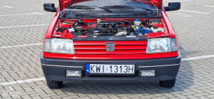 Peugeot 309 XS - 1992