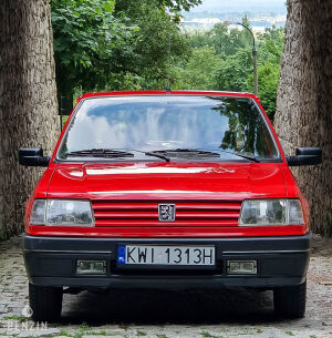 Peugeot 309 XS - 1992