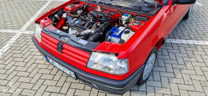 Peugeot 309 XS - 1992