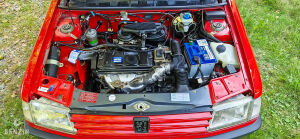 Peugeot 309 XS - 1992