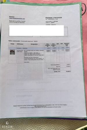 Citroën BX Sport *Projet - 1986