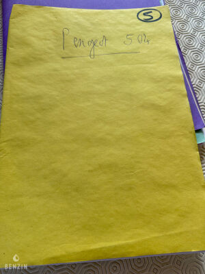 Peugeot 504 GL - 1977