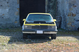 Chevrolet El Camino - 1979