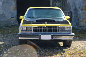 Chevrolet El Camino - 1979