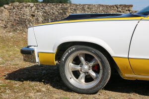 Chevrolet El Camino - 1979