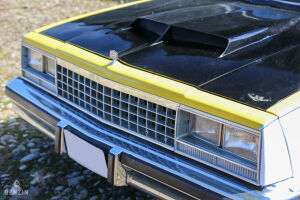 Chevrolet El Camino - 1979