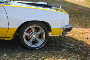 Chevrolet El Camino - 1979