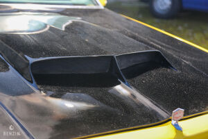 Chevrolet El Camino - 1979