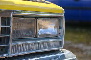 Chevrolet El Camino - 1979