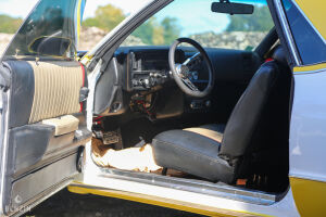 Chevrolet El Camino - 1979