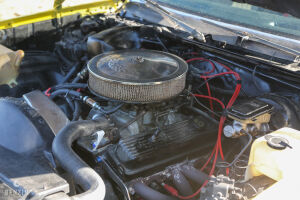 Chevrolet El Camino - 1979