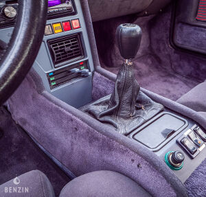 Alpine A310 V6 - 1981
