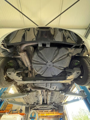 Renault Mégane 3 RS Cup - 2016