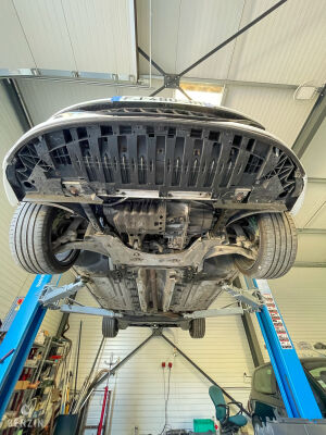 Renault Mégane 3 RS Cup - 2016