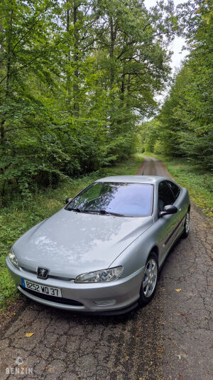 Peugeot 406 Coupé 2.0 16v - 2001