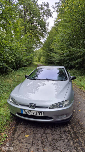 Peugeot 406 Coupé 2.0 16v - 2001