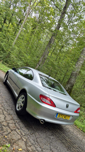 Peugeot 406 Coupé 2.0 16v - 2001