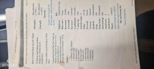 Porsche 911 Type G Carrera 3.2 Cabriolet - 1984