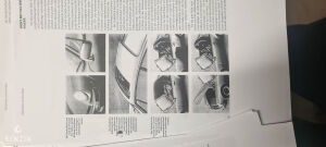 Porsche 911 Type G Carrera 3.2 Cabriolet - 1984