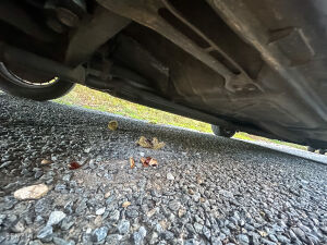 BMW 528i e28 *1ère main - 1985