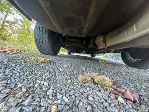 BMW 528i e28 *1ère main - 1985