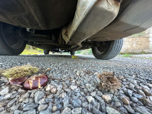 BMW 528i e28 *1ère main - 1985