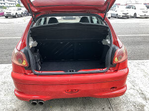 Peugeot 206 RC - 2004