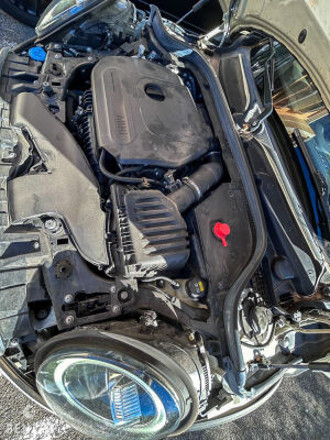 Mini Cabriolet One Chili - 2019