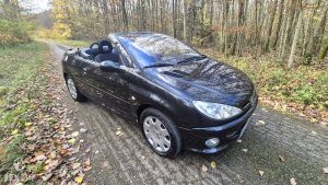 Peugeot 206cc 1.6 16V 39k km - 2004