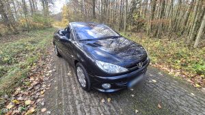 Peugeot 206cc 1.6 16V 39k km - 2004