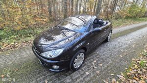 Peugeot 206cc 1.6 16V 39k km - 2004