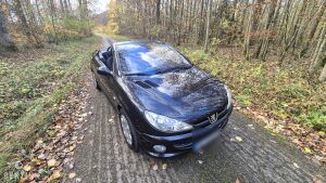 Peugeot 206cc 1.6 16V 39k km - 2004