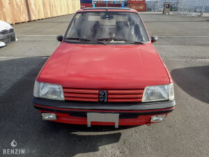 Peugeot 205 GTI 1.9 122 - 1993