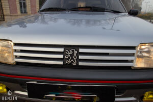 Peugeot 205 GTI 1.6 105 - 1984