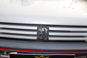 Peugeot 205 GTI 1.6 105 - 1984