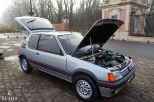 Peugeot 205 GTI 1.6 105 - 1984
